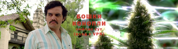 дурь Краснослободск