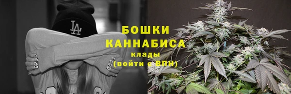 дурь Краснослободск