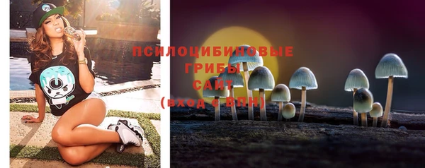 spice Куйбышев