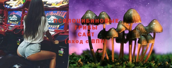 дурь Краснослободск