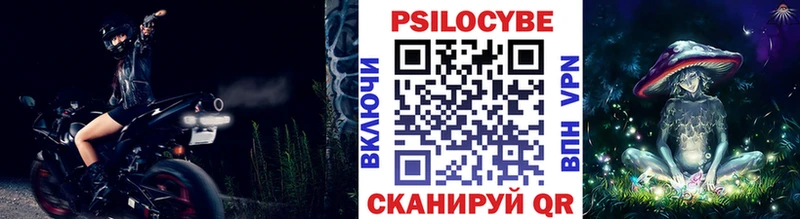 Купить где  Нерюнгри  Галлюциногенные грибы Psilocybe 